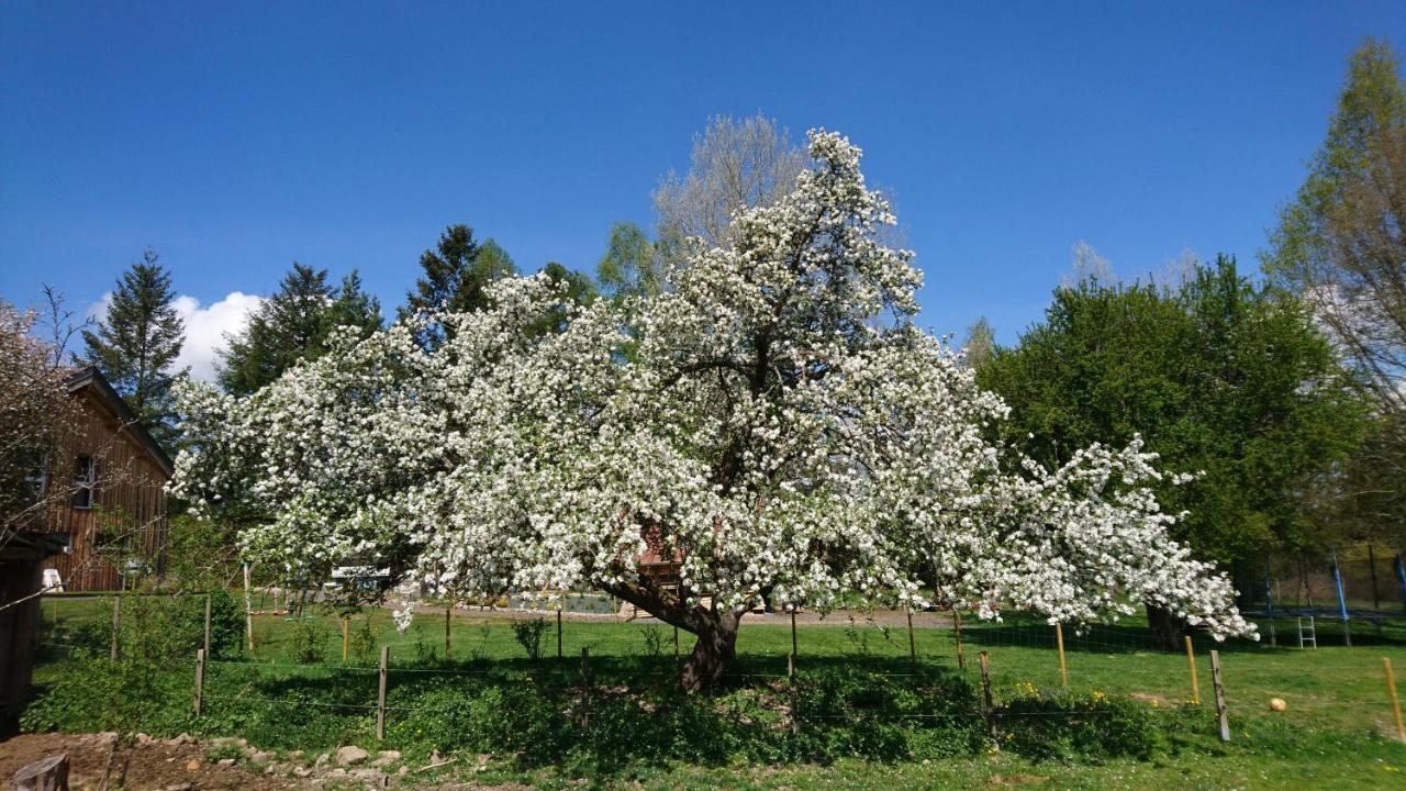 Roulotte Le Temps De Rever Bed & Breakfast Saint-Michel-sur-Meurthe Eksteriør bilde