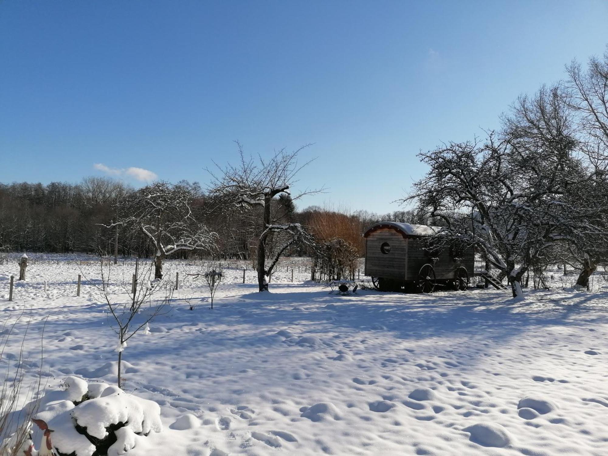 Roulotte Le Temps De Rever Bed & Breakfast Saint-Michel-sur-Meurthe Eksteriør bilde